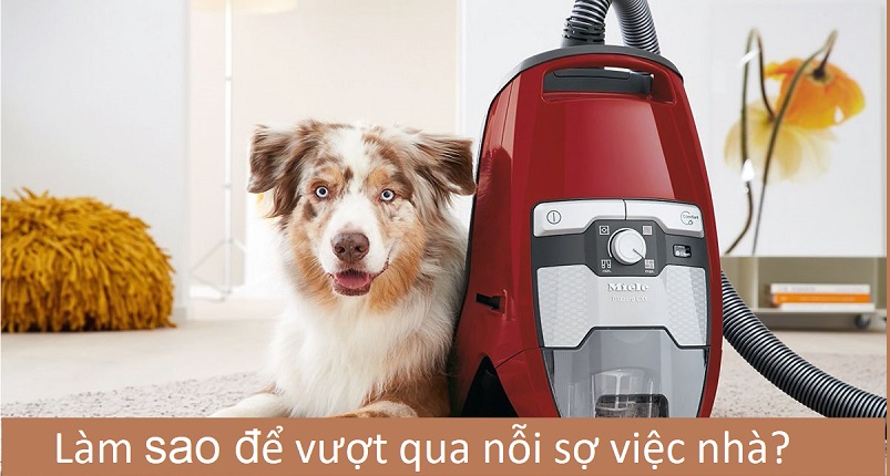 Tiêu Đề Mẫu Bài Viết Máy Hút Bụi